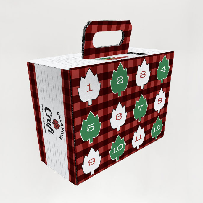 12-Pack Can Advent Calendar Box front
